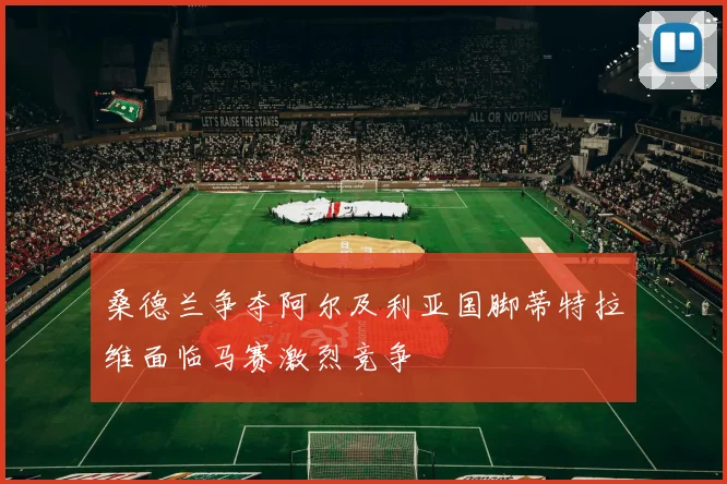 桑德兰争夺阿尔及利亚国脚蒂特拉维面临马赛激烈竞争