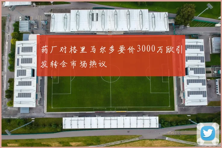 药厂对格里马尔多要价3000万欧引发转会市场热议